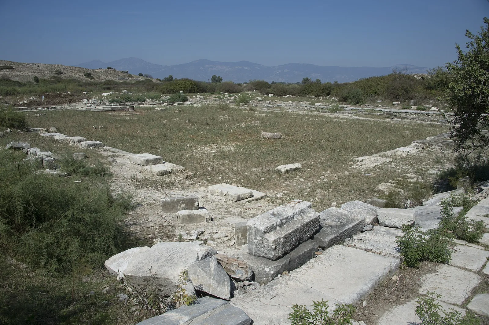 Delphinion